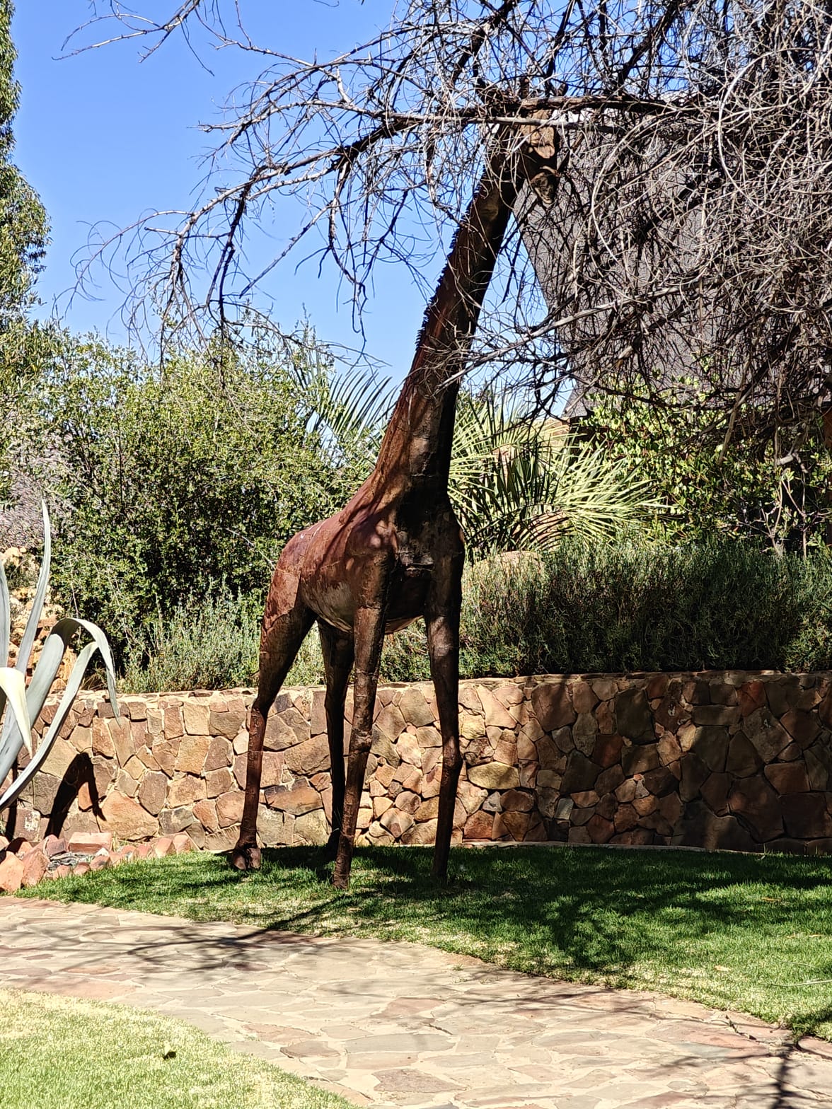 Aquila Game Reserve - Safari 31